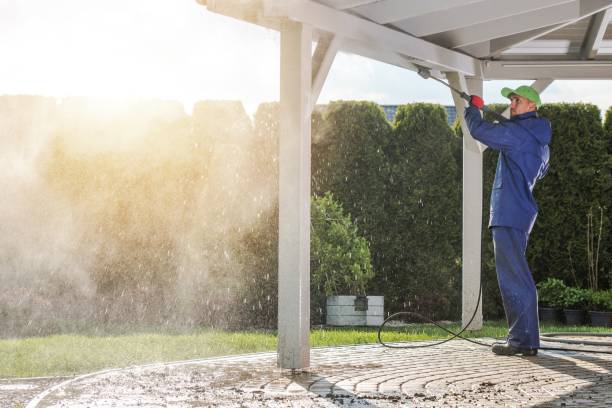 Best Spring Cleaning  in Plattsburgh, NY